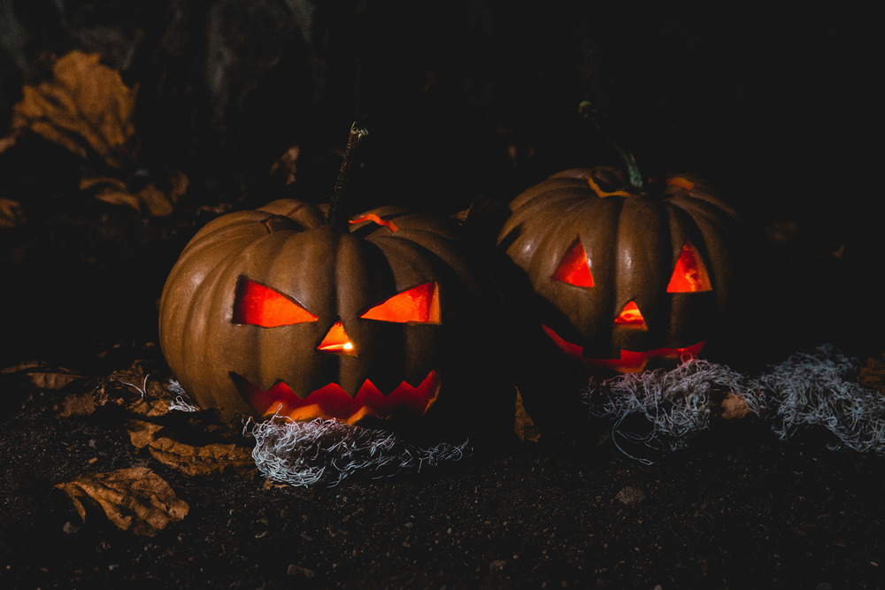 ifreestock.com via pexels.com / CC0 License